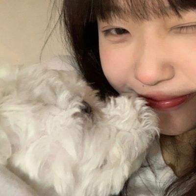 神域修仙传最新版本下载
